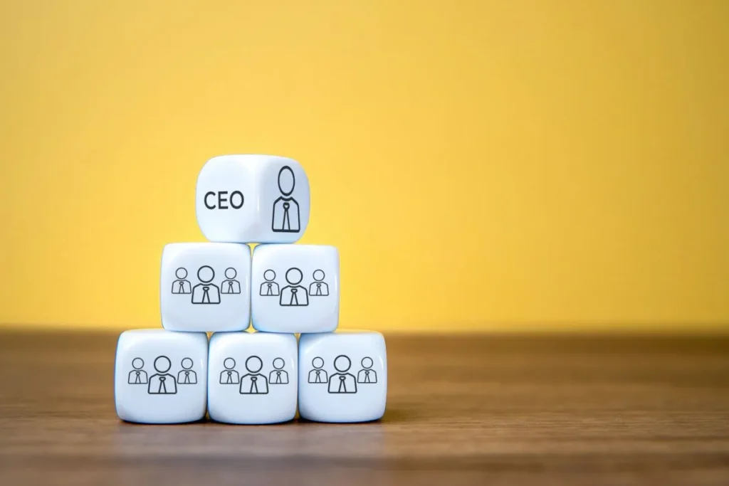 Turkish Limited Liability Company Formation