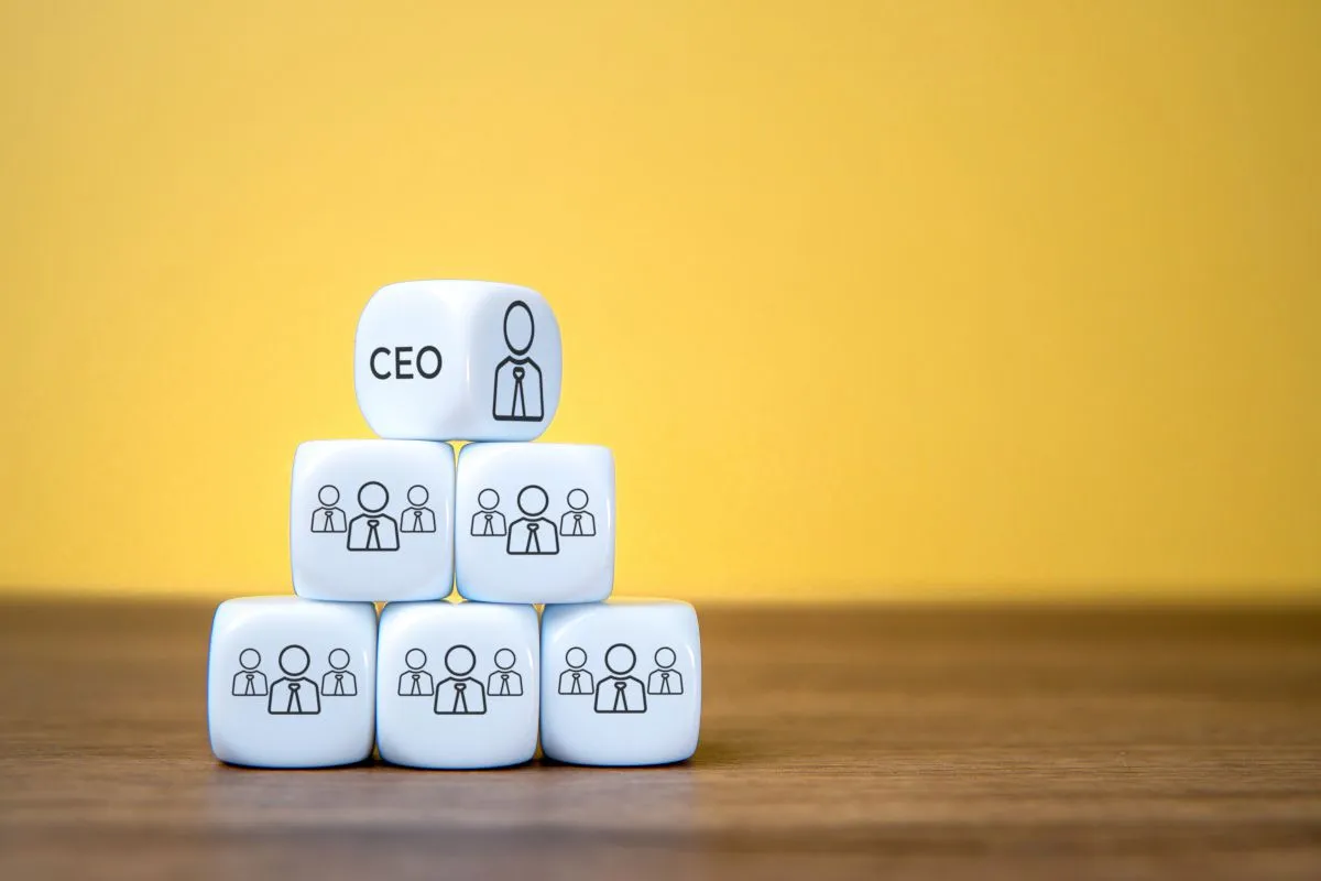 Turkish Limited Liability Company Formation